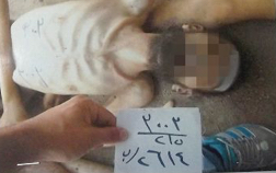 0C325697-B6E9-4D6A-8A0A-1892D522DB8D