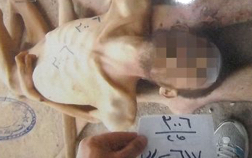 8110BA90-1F40-44B8-834E-B0B8A4A2DB8D