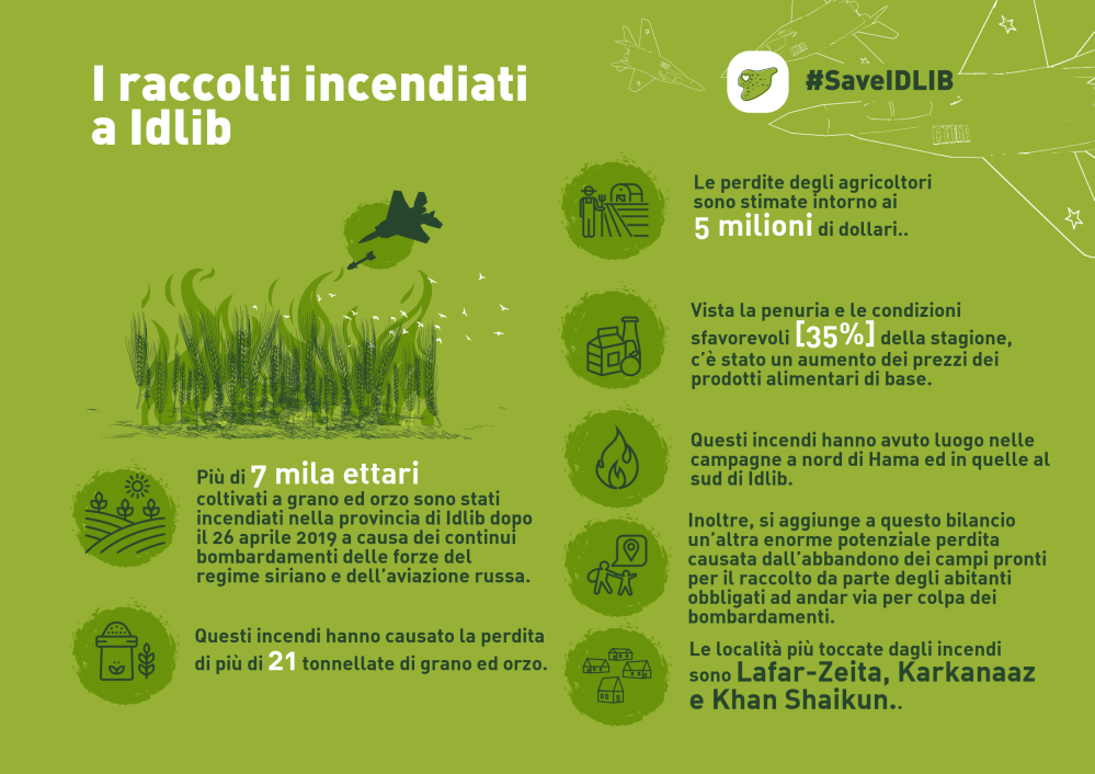 8-raccolti