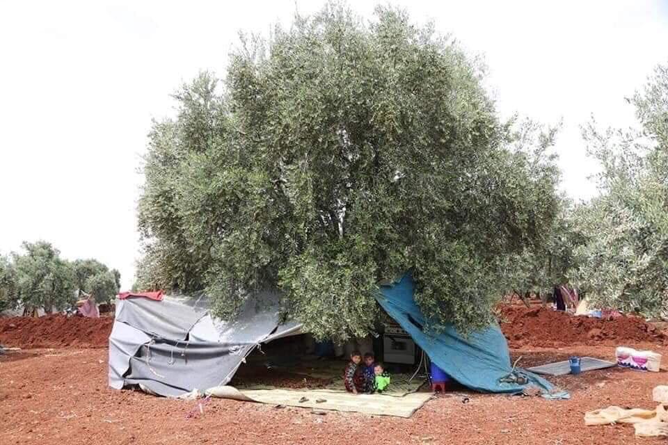 1_QYdkU_-qqwMUrdDQ0UIKpQ